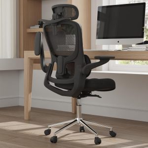 PEA463 Ergonomic Adjustable Computer Headrest Chair